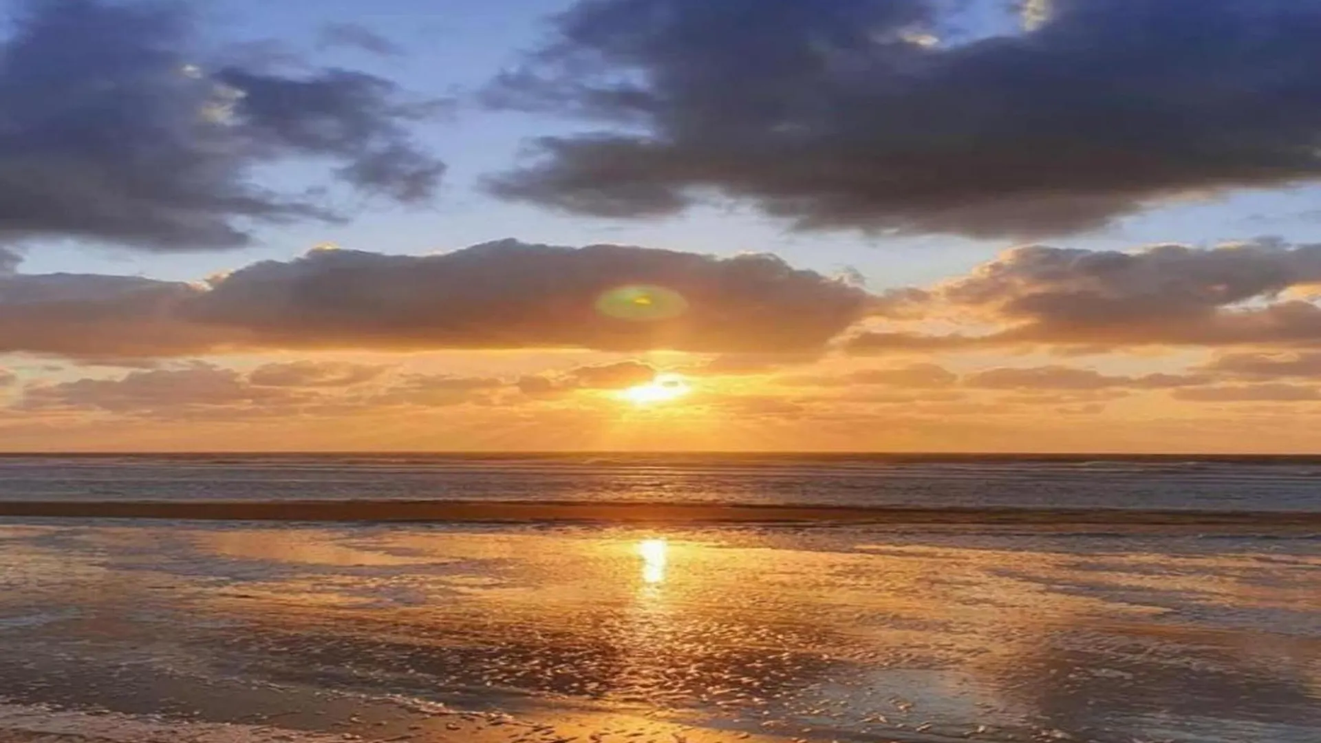 Flat In Ostend Near Belgian Coast, Cleaning Included Bélgica